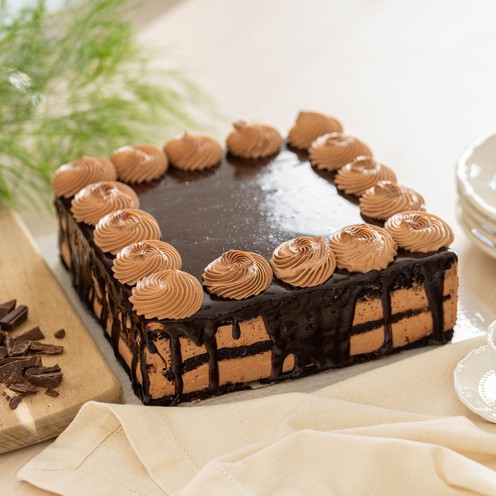 🚨💰!Promotion! Neem Cake 20 kg🏹 – Neem Land
